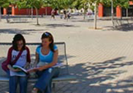 Imagen de dos chicas en un banco en el campus de Tarongers